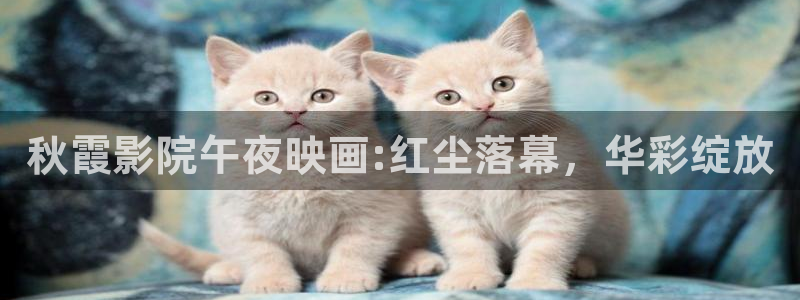 星空电影在线看免费