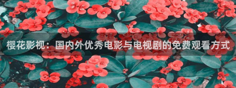 的星空