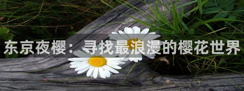 千渭星空国际影城今日影讯