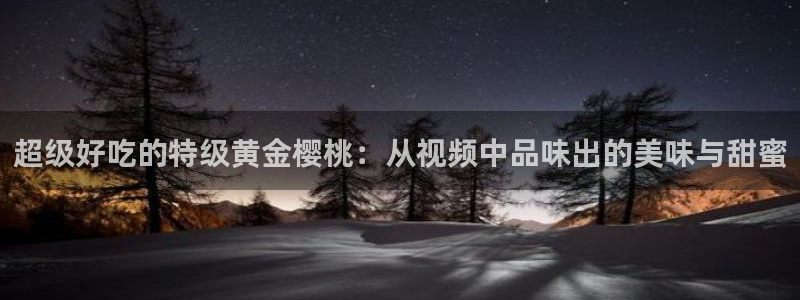 电影网 星空