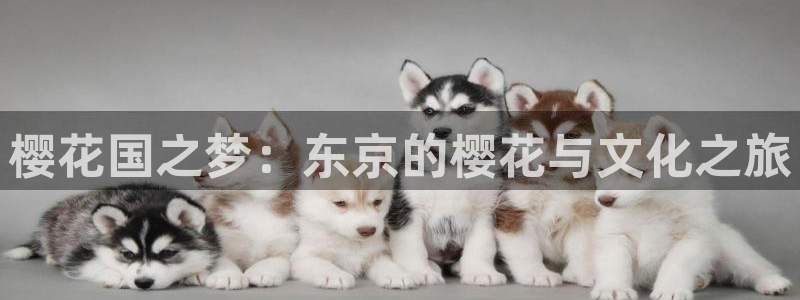 星空无痕mv电影在线观看免费视频