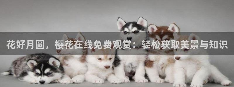 热辣滚烫午马电影