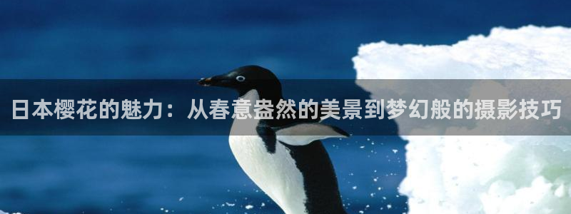 星空影视大全电视剧免费播放在线