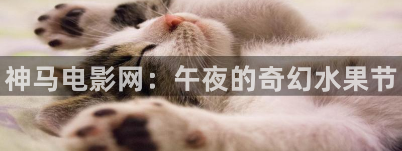 午马电影樱花
