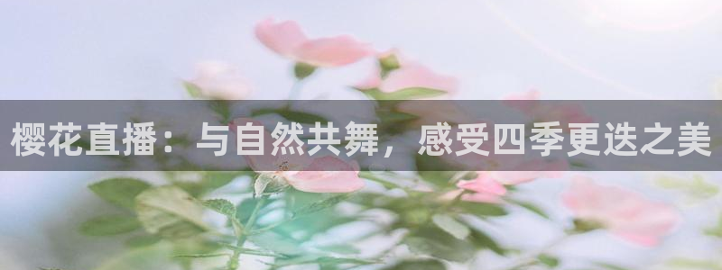午马电影免费观看电影2023年上映