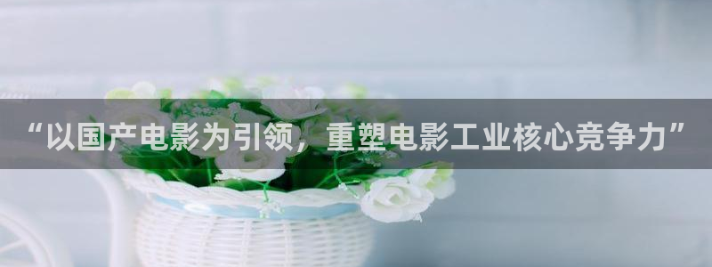 二十不惑星空影视