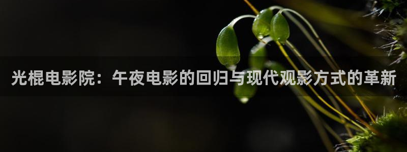 午马电影免费入口