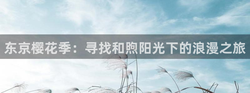 星空图片下载