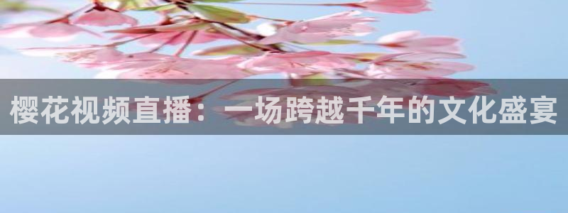 午马电影高清电影