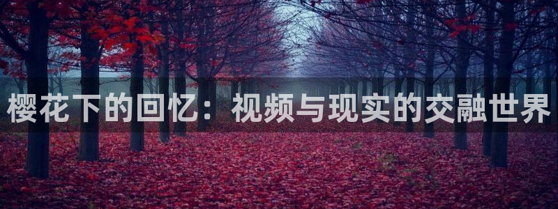 午马电影在线观看免费观看电视剧最新