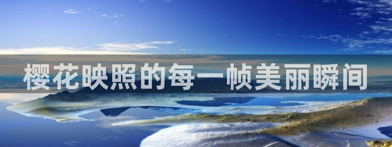 午马电影在线观看高清电影电视剧