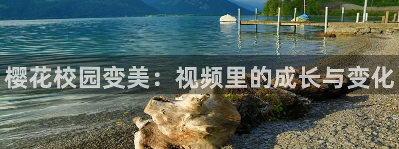 都盛星空的电影在线观看
