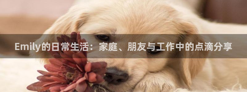 午马电影动漫免费播放