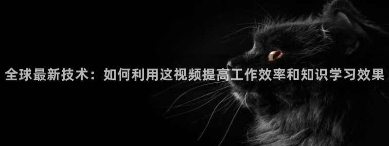 午马电影免费观看电视剧大全最新