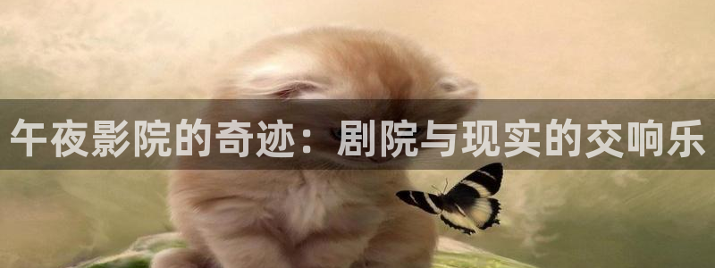 星空电影在线观看高清