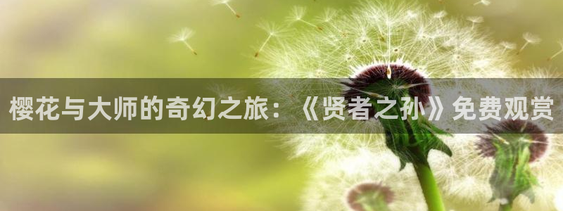 天美麻花星空影视免费