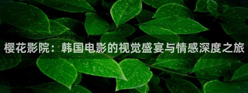 星空在线观看免费播放电影