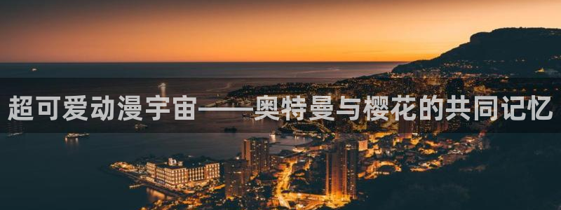 午马电影2024