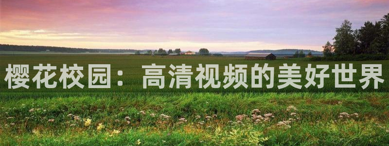 女士的品格午马电影