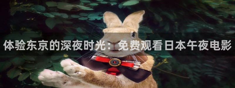 星空影视软件