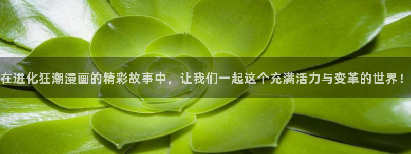 星空视频电影在线视频观看