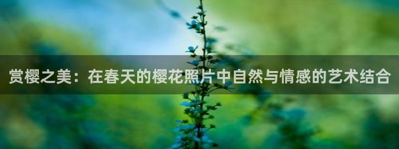 午马电影福利