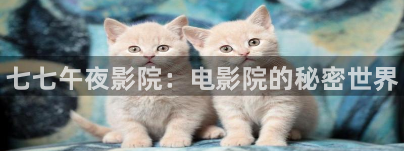 午马电影高清电影好看的电视剧推荐