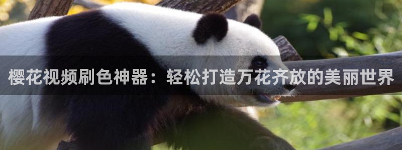 织金县星空影城