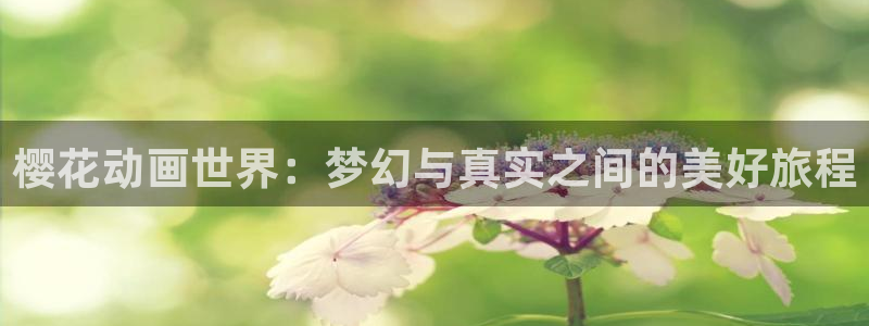 午马电影电视免费播放音乐