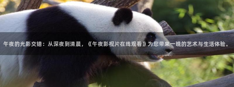 星空电影影院在线观看免费完整版高清