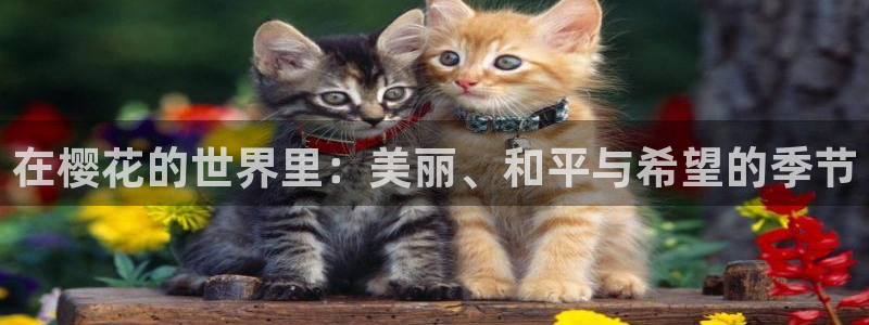 午马电影免费观