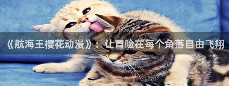 午马电影在线观看免费播放电视剧电影
