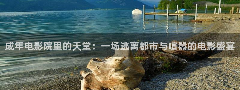 午马电影短剧免费播放