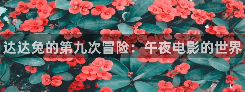 午马电影高清电影好看的电视剧繁花
