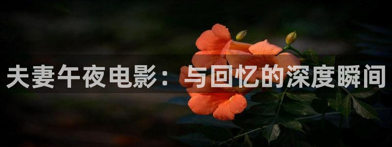 午马电影电影免费播放