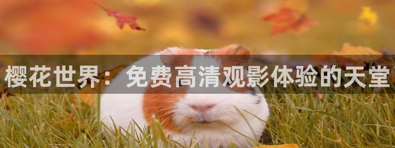 星空影视壁纸下载