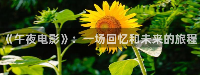 星空传媒高清视频