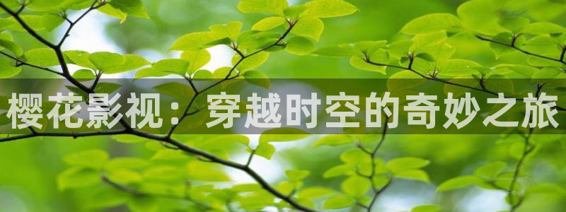 星空电影免费观看