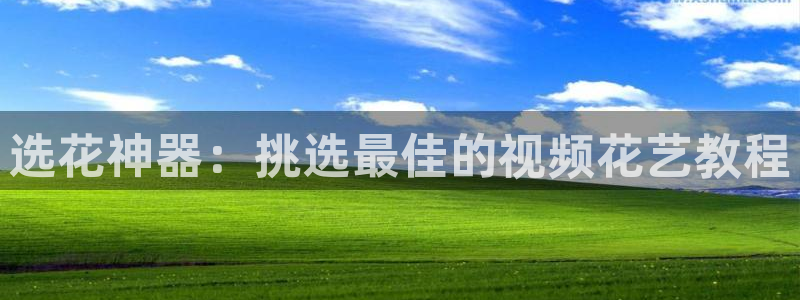 星空mv高清免费播放在线观看