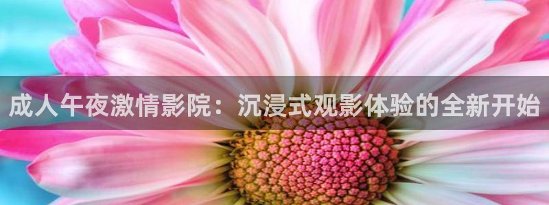 星辰影视大全免费版在线看星空
