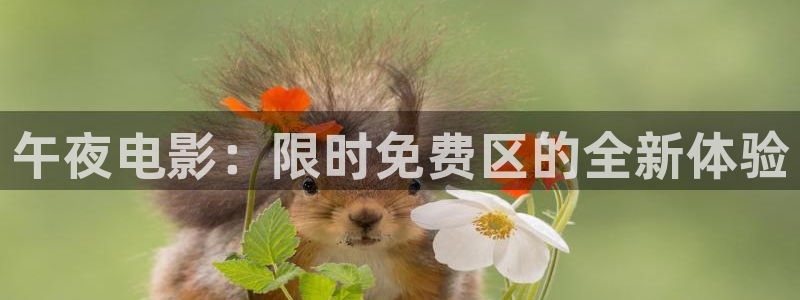 午马电影在线播放免费完整版