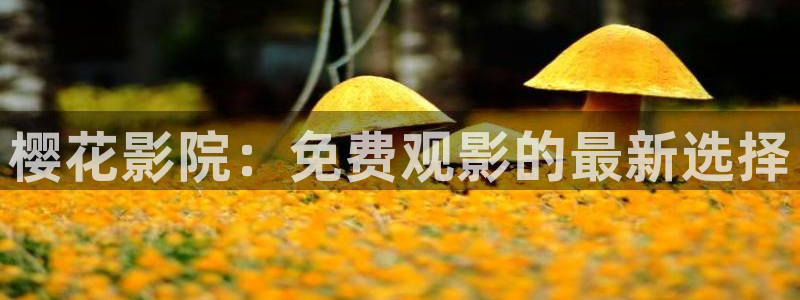 星空视频电影在线观看