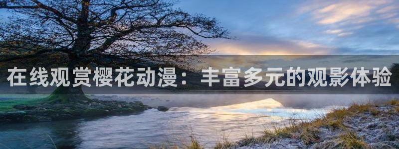星空影视ios