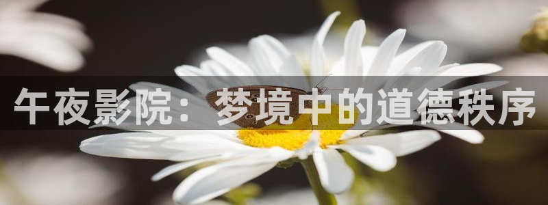 午马电影免费观看电视