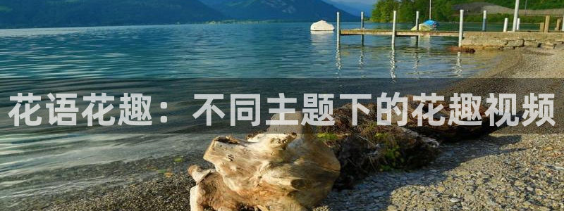 午马电影是什么