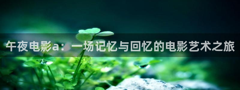星空电影免费观看高清
