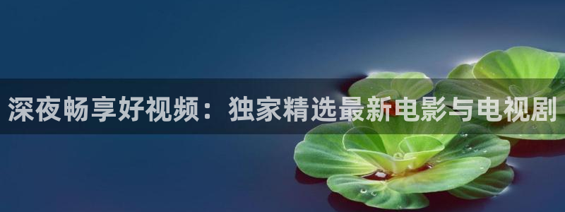 星空无限影视传媒官网