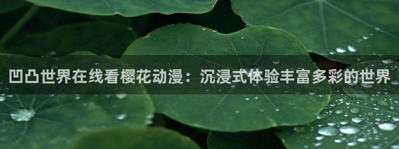 星空无痕mv免费观看在线高清