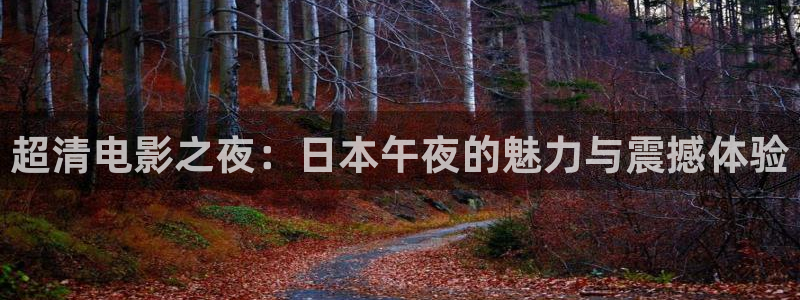 星空视频素材高清